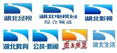 湖北广电地面频道4A广告经营代理权成功通过华中文交所挂牌