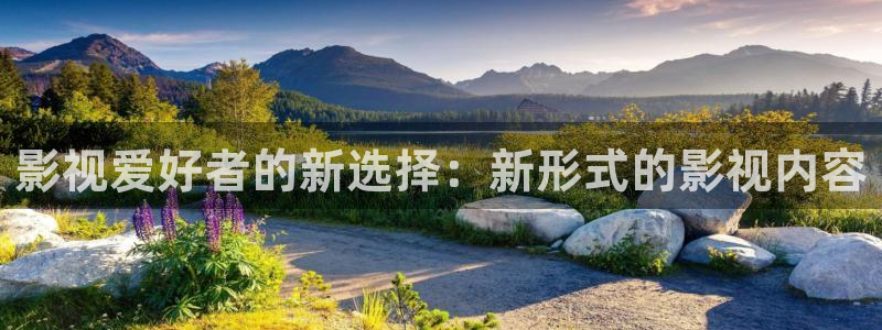 老湿机影院网站