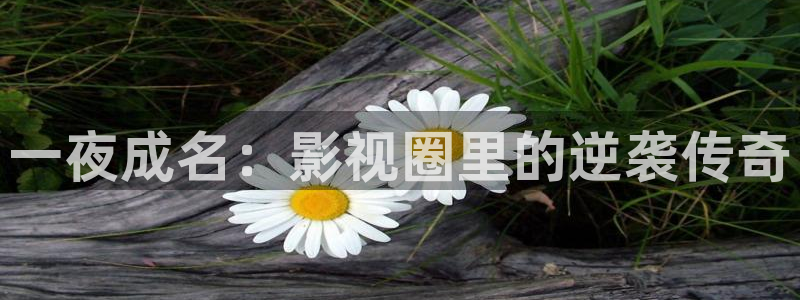 老湿影院在线免费观看