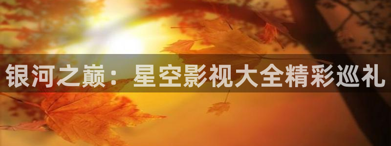 老湿影院污