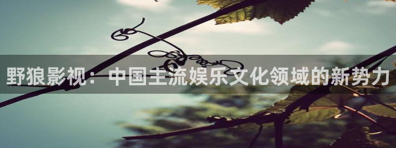 老湿影院b