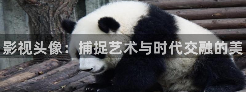 老湿影院福利在线