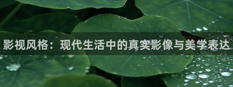 老湿免费成人影院