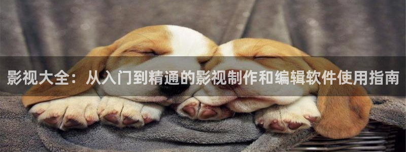 老湿免费影院