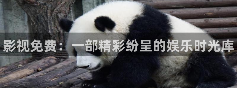 老湿电影在线观看